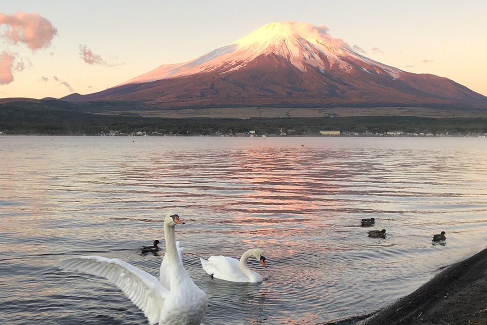 山中湖旅宿 景雅